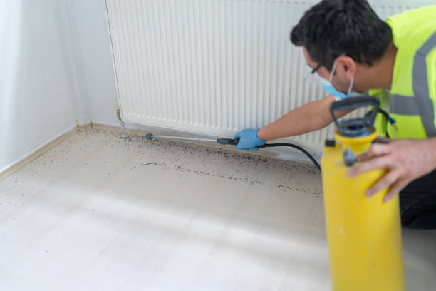 Best Bed Bug Extermination  in Watertown, MN