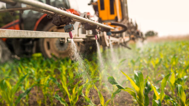 Best Best Pest Control Companies  in Watertown, MN